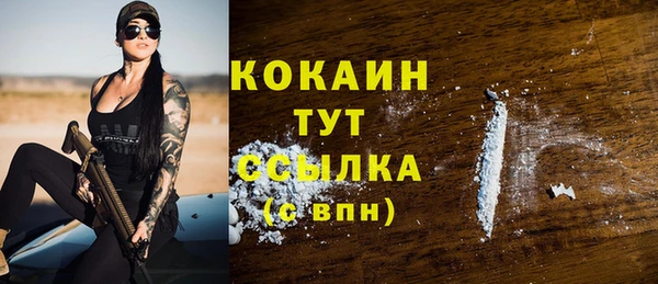 ALPHA PVP Осинники