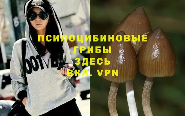 ALPHA PVP Осинники