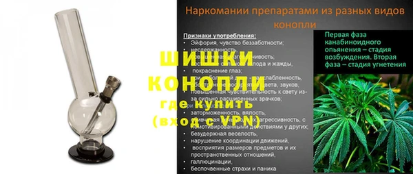 ALPHA PVP Осинники